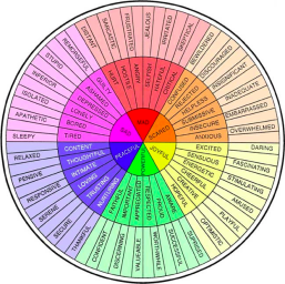 pos-feeling-wheel