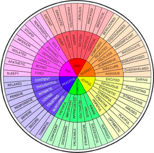 Emotion wheel: the vast spectrum of human emotion . . . beautiful.