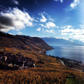 Lavaux in the fall.